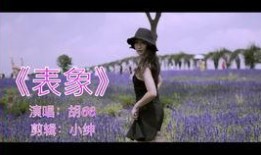 胡小姐最新爆料视频,事件真相再引热议