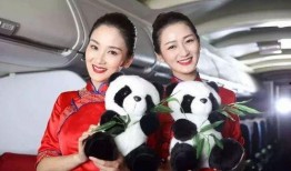 印度空姐爆料视频,真实工作幕后曝光