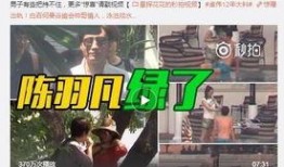 刘祥峰爆料人是谁啊视频,真相揭晓