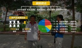 爆料朝阳群众视频,街头智慧守护者，共筑平安社区