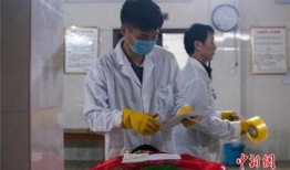 遗体化妆师爆料视频大全,揭秘遗体化妆师爆料视频大全