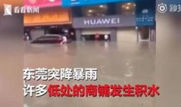 宁津探店爆料事件真相视频,揭秘背后真相与争议