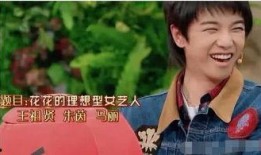 华晨宇娱乐记者爆料,揭秘明星幕后故事