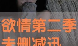 欲情在线观看,一场跨越时空的激情邂逅