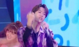 刘大锤爆料鞠姓艺人视频,真相背后引人深思