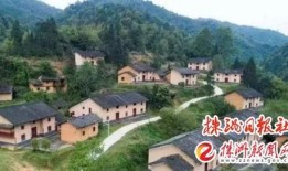 茶陵爆料最新消息新闻,最新突发新闻事件回顾