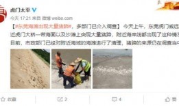 徐州海子爆料事件视频曝光,视频曝光引发社会关注