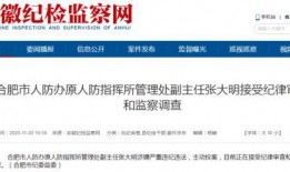 合肥新闻爆料电话号码,一键直通热线电话，见证城市脉搏