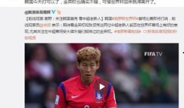 袁甲爆料裁判视频播放下载,真相与争议并存