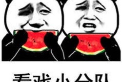 娱乐圈吃瓜表情符号大全,吃瓜群众必备表情包手册