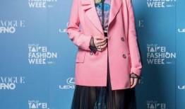 台湾娱乐圈爆料蔡依林