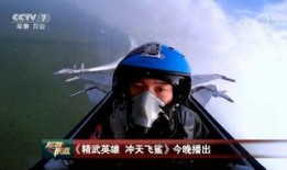 飞行员技能爆料视频下载,视频爆料背后的飞行奥秘