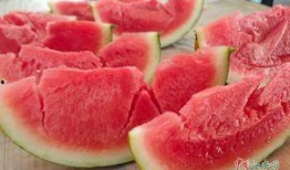 襄县免费吃瓜,免费吃瓜活动来袭，清凉一夏尽享瓜果盛宴