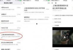 独家最新爆料小程序小说,小程序小说背后的秘密世界