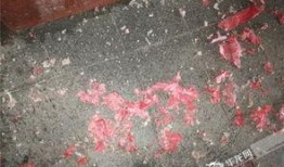 重庆烟花爆料视频,网友爆料视频引热议