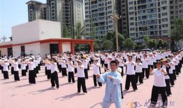 塔沟武校爆料视频大全,爆料视频大全背后的真相与内幕