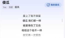 胖猫事件完整版最新爆料,揭秘背后惊人真相，最新爆料震撼来袭！