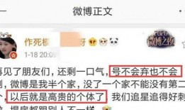 最新爆料用别的词怎么说,最新爆料背后的惊人内幕，用全新词汇诠释事件真相