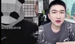 刘大锤爆料鞠姓艺人视频,真相背后引人深思