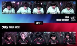 流浪者大招爆料视频播放