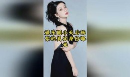 娱乐圈小爆料大全,揭秘明星幕后故事与幕后黑幕