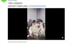 申鹤爆料视频,神秘事件背后的惊人真相