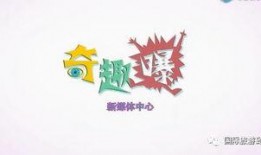 奇趣爆料视频,揭秘视频背后的惊人真相！