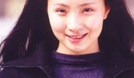 陶虹车祸爆料视频最新,事故真相与公众关注