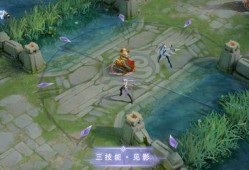 流浪者大招爆料视频播放