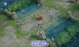 流浪者大招爆料视频播放