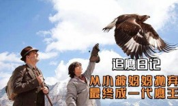 《鹰王》在线观看,翱翔天际的传奇英雄，探寻自由与力量的极致之旅