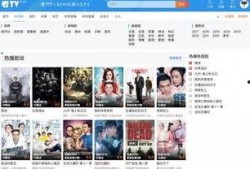 中国避孕套爆料视频网站,隐私边界与网络监管的较量