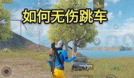 吃鸡近期爆料视频