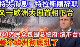 特拉斯最新爆料消息新闻,揭秘政坛内幕与权力斗争