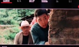 陶虹车祸爆料视频最新,事故真相与公众关注