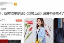 玫瑰之战最新爆料视频网,揭秘幕后真相与精彩瞬间
