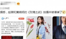 玫瑰之战最新爆料视频网,揭秘幕后真相与精彩瞬间