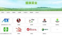 成都视频消费爆料平台官网,揭秘城市消费新动态