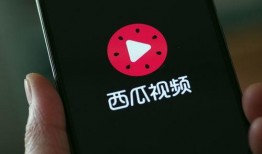 西瓜卫视在线观看,畅享精彩瞬间，尽在指尖