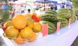 襄县免费吃瓜,免费吃瓜活动来袭，清凉一夏尽享瓜果盛宴