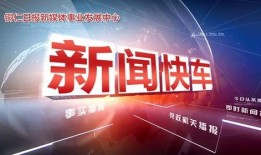 新闻快车爆料音乐,揭秘音乐界最新爆料背后的故事