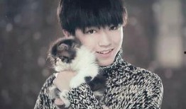 圈内爆料王俊凯娇兰,揭秘明星与奢侈品牌的幕后故事