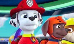 奇趣爆料视频,揭秘视频背后的惊人真相！