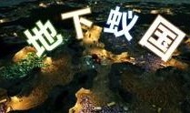 地下蚁国爆料视频大全播放,视频大全带你探秘神秘蚁穴世界