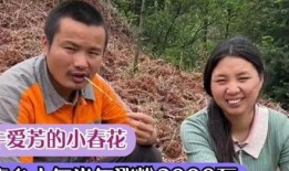 东北农嫂爆料原视频,原视频背后的惊人内幕