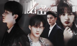 秘密在线观看完整,秘密在线观看背后的真相与挑战