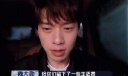 成毅狗仔爆料视频大全,揭秘明星幕后生活瞬间