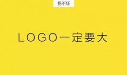 大logo视频爆料,独家解读品牌新动向