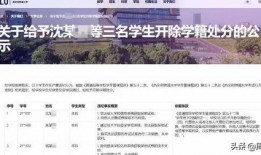 网友爆料校园新闻,网友爆料揭示校园最新动态