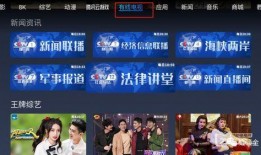 电视直播在线观看官网,揭秘电视直播在线观看官网全攻略